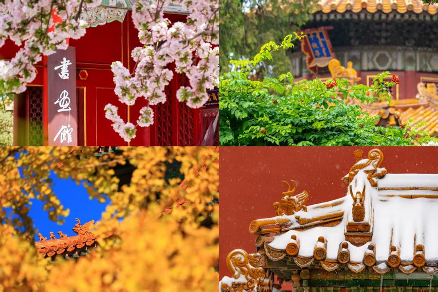 百歲快樂！一組圖領略故宮四季流轉之美