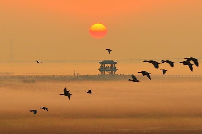 薄霧輕籠鄱陽(yáng)湖 再現(xiàn)“秋水共長(zhǎng)天一色”詩(shī)意