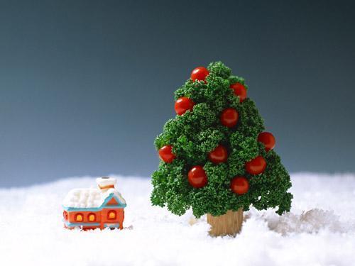 ����ʥ�Q���Ժ��昷ȫ���� ��ʥ�Q�����x��g