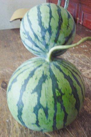 ���K���]���F��Ҋ�B�w����(�D)