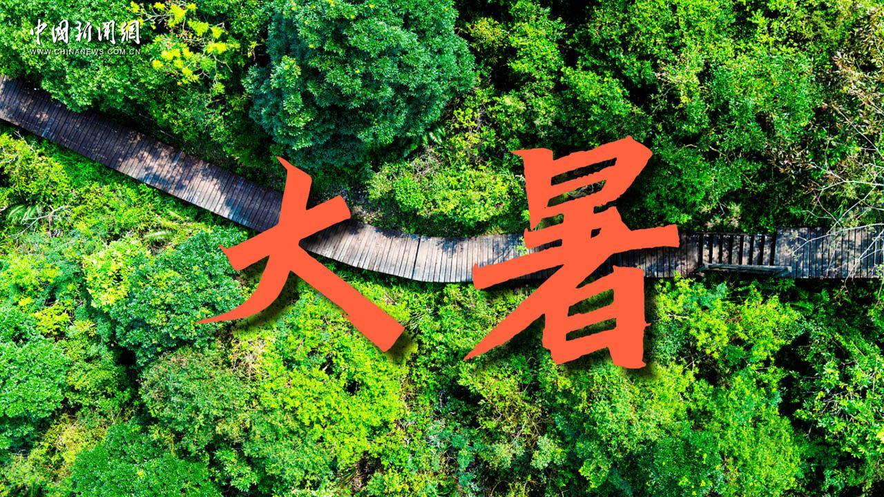 大暑：蟬鳴喚清風(fēng) 萬(wàn)物豐盈綠意濃