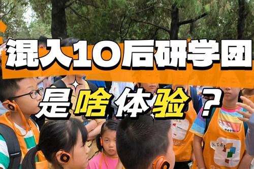 90后大齡兒童混進10后研學團，被教育了……